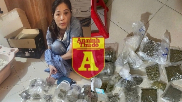 Nóng 24h: Nữ quái “đặt ship” cần sa khắp Hà Nội