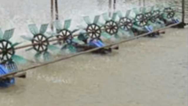 2 cha con tử vong dưới ao tôm tại Cà Mau