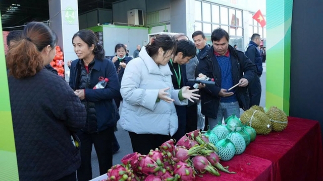 Quảng bá sản phẩm Việt Nam tại Sơn Đông, Giang Tô, Thượng Hải, Trung Quốc