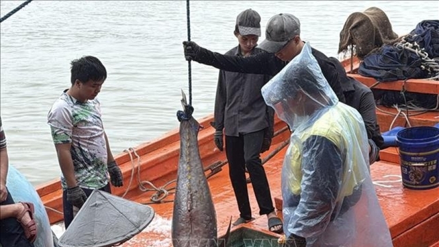 Dak Lak province intensifies fight against IUU fishing