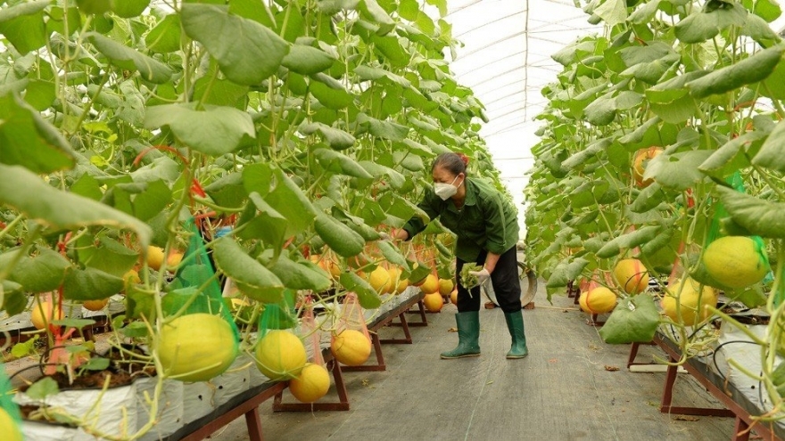 Bắc Ninh triển khai hệ sinh thái khởi nghiệp đổi mới sáng tạo giai đoạn 2025-2030