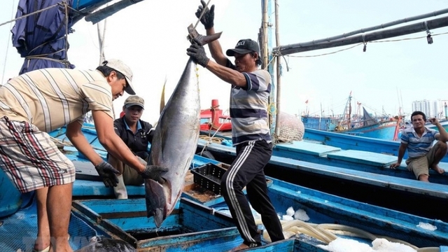 Vietnam’s aquatic sector on track to hit US$11 billion in exports