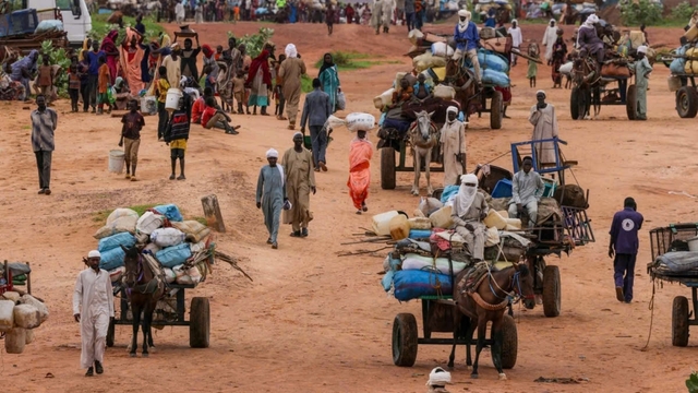 Ai Cập chuyển lô hàng cứu trợ nhân đạo đầu tiên bằng đường bộ đến Sudan