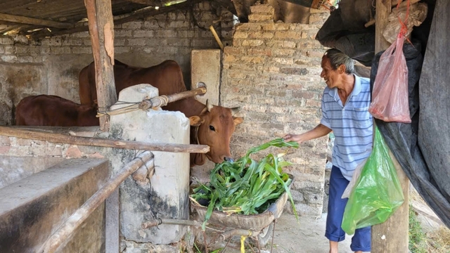 Tỷ lệ hộ nghèo của tỉnh Bắc Ninh giảm còn dưới 1%