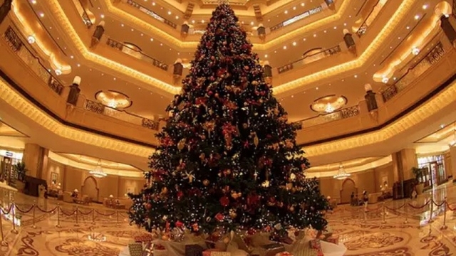 Chiêm ngưỡng những cây thông Noel đắt đỏ nhất thế giới