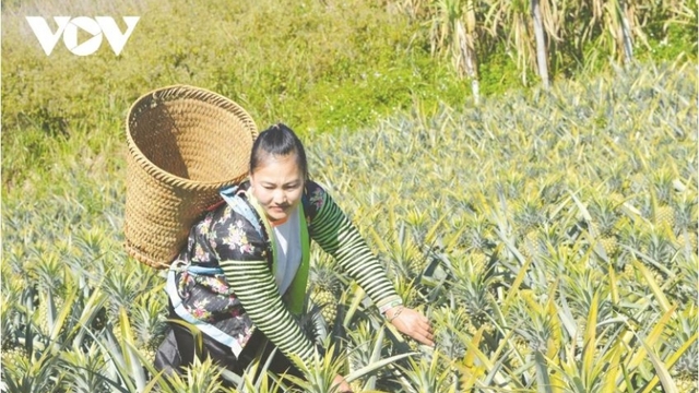 Linh hoạt trong triển khai công tác giảm nghèo ở Điện Biên