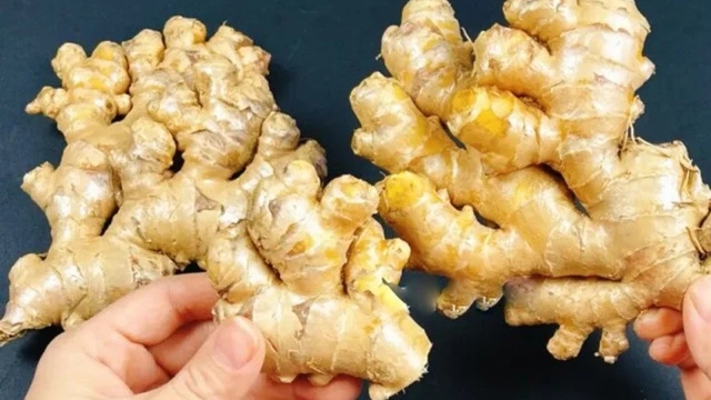 Gừng là vị thuốc phổ biến trong Đông y nhưng những người này nên tránh xa