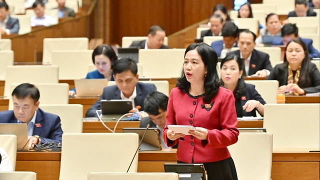 ĐBQH lo vốn Trung ương 8% gây áp lực lớn, tăng gánh nặng cho các tỉnh nghèo