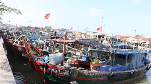 Hai Phong records positive progress in combating IUU fishing