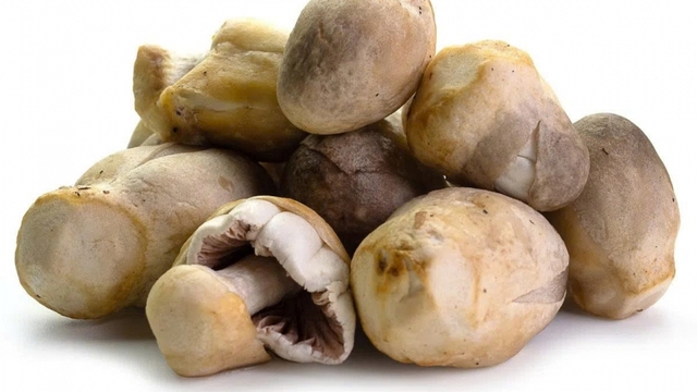 Không chỉ ngon, nấm rơm còn mang đến loạt lợi ích khiến bạn muốn ăn mỗi ngày