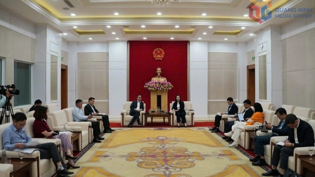 Lãnh đạo UBND tỉnh Quảng Ninh tiếp đoàn công tác VOV