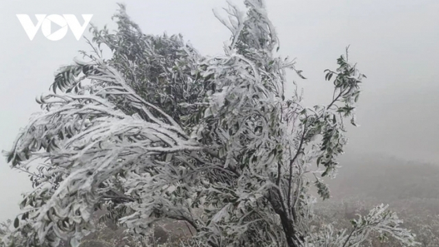 Miền Bắc rét đậm, nhiệt độ phổ biến từ 11–14°C, vùng núi 8–11°C