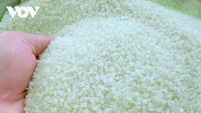 Low-emission rice seen as pathway to strengthen Vietnamese rice brand