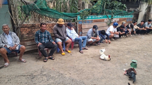 Công an bao vây sới gà, 14 đối tượng ở Tây Ninh bị tạm giữ