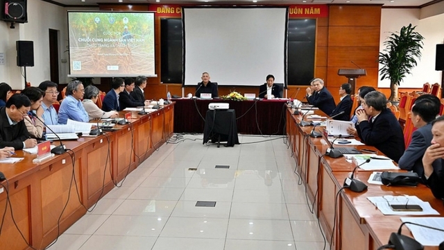 Vietnam ranks third globally in cassava exports, supply chain faces challenges