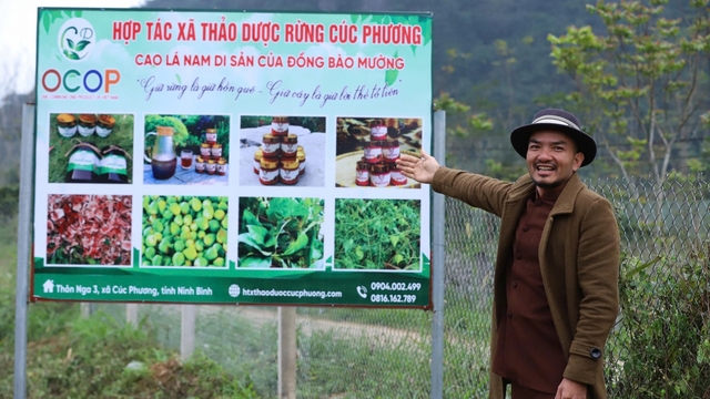 Ông chủ homestay thành lập HTX cao lá thảo dược