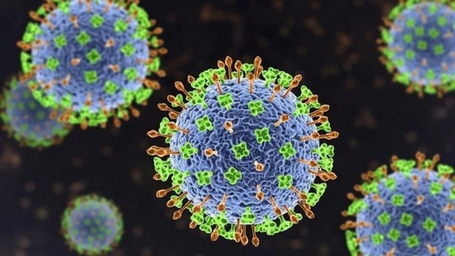 Chuyên gia: Virus Nipah khó lây lan rộng như COVID-19