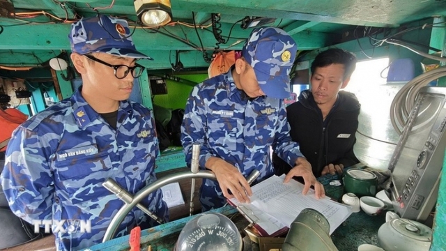 Ho Chi Minh City steps up IUU fishing crackdown