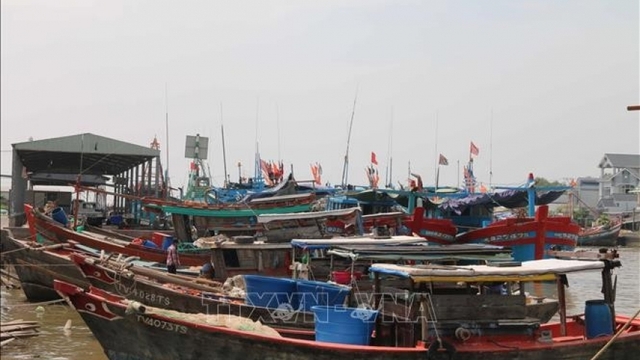 IUU combat: Vinh Long tightens fishing port control