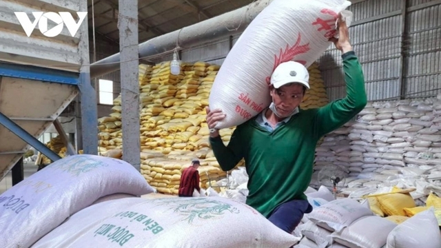 Vietnamese rice shipments pick up after Philippines reopens imports