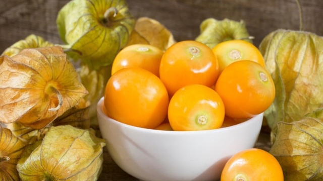 Từ cỏ dại ven đường thành đặc sản “đèn lồng” giá tiền triệu mỗi sào