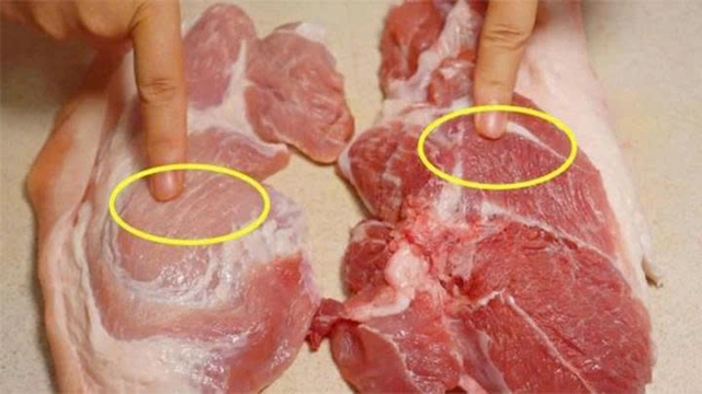 Cách nhận biết dấu hiệu lợn bệnh mà bà nội trợ nên biết