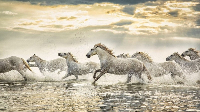 Độc đáo sản phẩm linh vật ngựa từ các làng nghề truyền thống