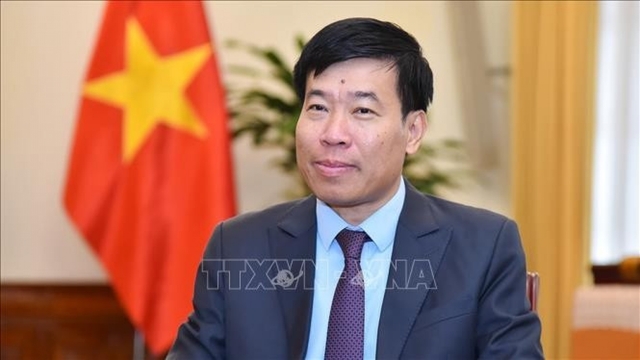 Proactive implementation of 14th Party Congress foreign affairs resolution urged