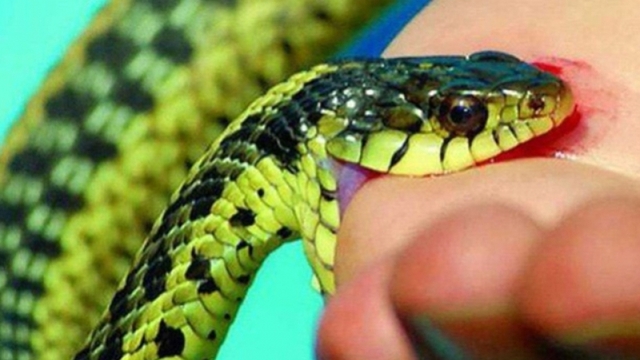 Nóng 24h ngày 3/2: Diễn biến hy hữu trong vụ án mạng ở Hải Phòng