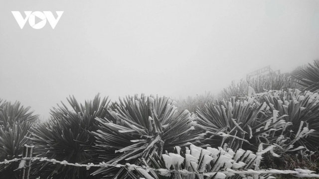 Không khí lạnh mạnh tràn xuống, Bắc Bộ sắp rét đậm