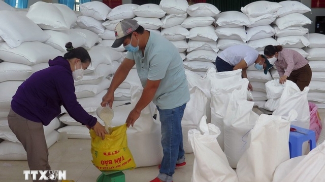 Over 14,660 tonnes of rice allocated to localities during Tet, between-crop period