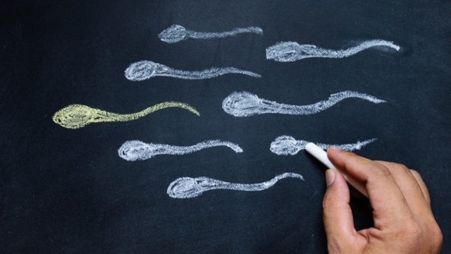 Tinh trùng loãng ảnh hưởng thế nào đến khả năng sinh sản nam giới?