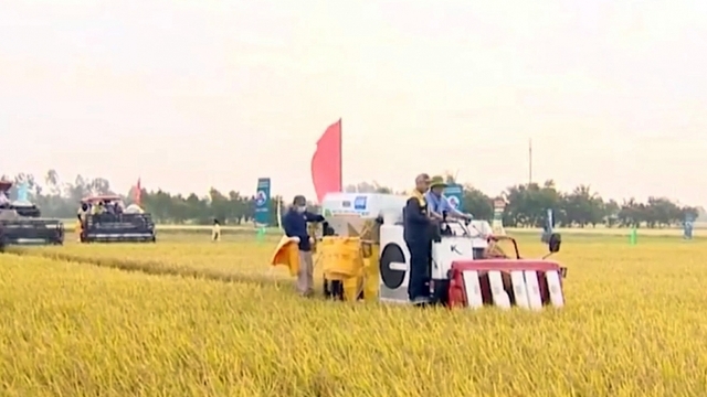 Đề án 1 triệu ha lúa, hình thành chuỗi giá trị thúc đẩy địa phương vào cuộc