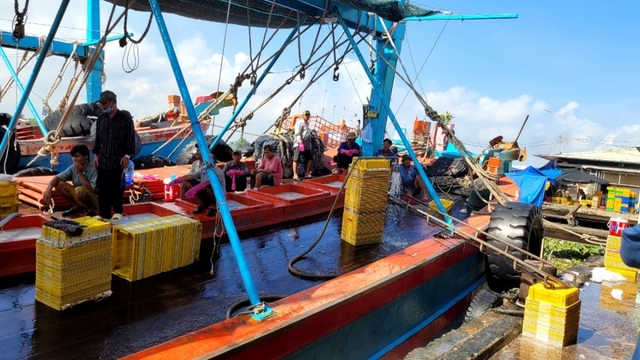 Giá xăng dầu tăng mạnh, doanh nghiệp, người dân chủ động tìm giải pháp