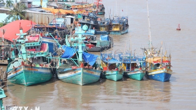 Nghe An tightens monitoring of fishing vessels to address IUU “yellow card”