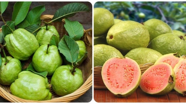Những người không nên ăn ổi