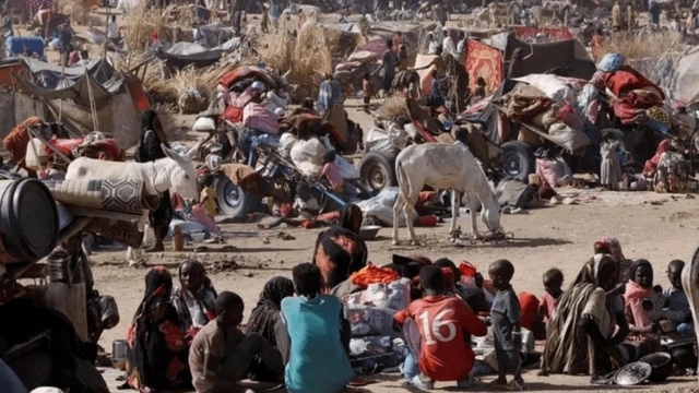 17 người thiệt mạng trong cuộc giao tranh ở biên giới Sudan với Cộng hòa Chad