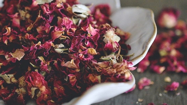 Loài hoa người Việt chỉ trưng cho đẹp, là "thần dược" với sức khỏe và sắc đẹp