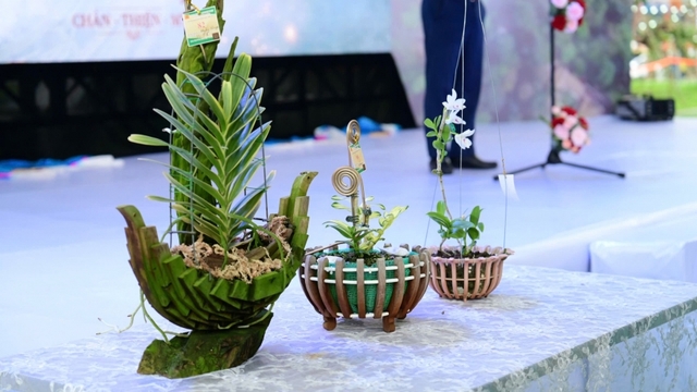 Khai mạc Triển lãm Hoa lan nghệ thuật toàn quốc lần thứ III tại Đền Hùng