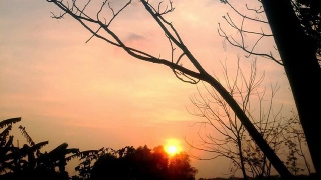 "Chiều thương nắng vữa": Nỗi niềm tình mẹ