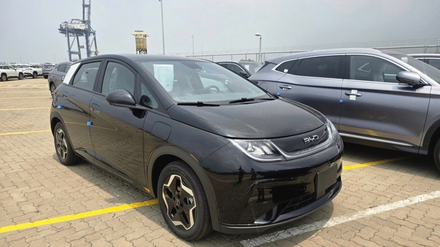 BYD Dolphin 2026 chuyển sang nhập Thái Lan để cạnh tranh với Geely EX2?