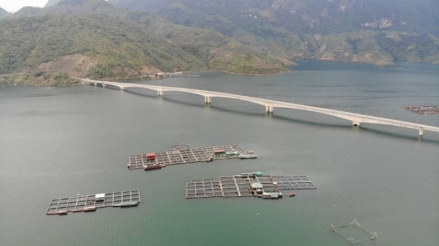 Thoát nghèo, vươn lên khá giả từ đầu tư nuôi cá lồng trên lòng hồ thuỷ điện