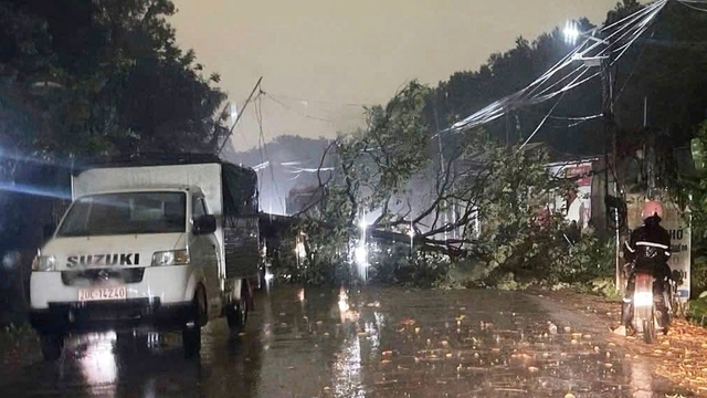 Mưa giông gây thiệt hại ở Thái Nguyên, cây đổ đè chết người