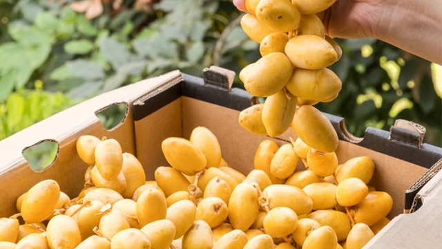 Chà là - “siêu quả” ngọt tự nhiên và những lợi ích sức khỏe ít người biết