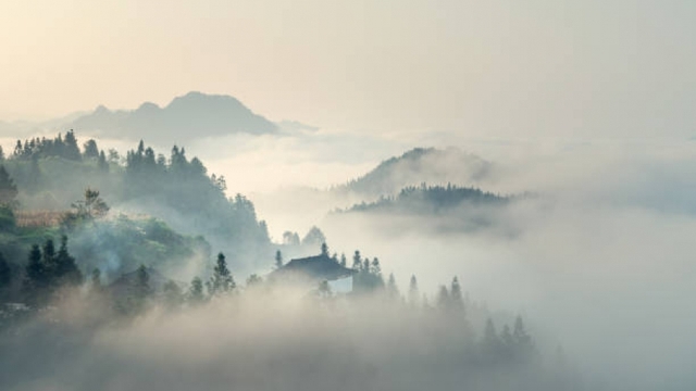 Bắc Bộ và Bắc Trung Bộ đón không khí lạnh, có mưa dông diện rộng