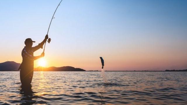 Chồng mê câu cá, bỏ mặc vợ con, hôn nhân 7 năm rạn nứt vì những đêm dài vô nghĩa