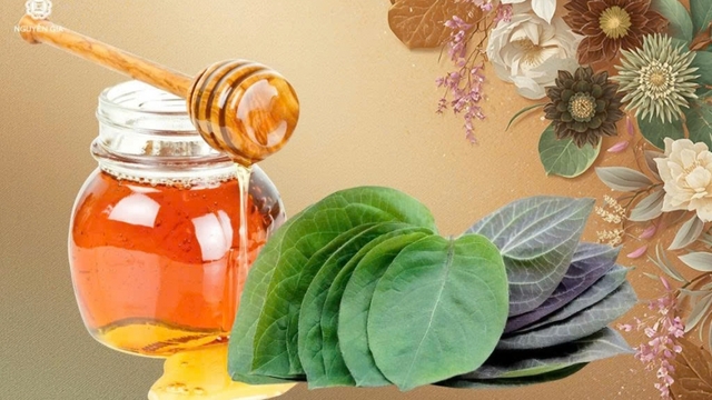 Lá mơ lông và mật ong: Công dụng bất ngờ khi dùng đúng cách