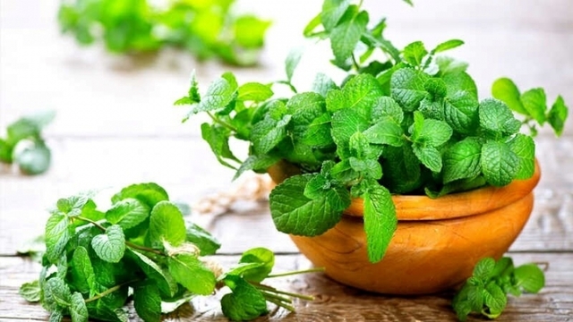 Cây thuốc đa năng, giá rẻ bèo ở chợ Việt nhưng không phải ai cũng biết tận dụng