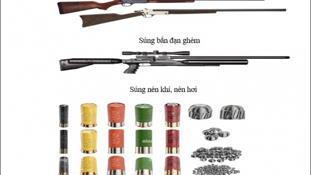 Người sử dụng, tàng trữ súng bắn đạn ghém, súng hơi sẽ đối mặt với tội Hình sự