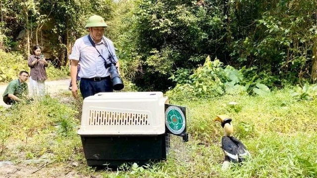 Nearly 170 wild animals released into the wild in Phong Nha-Ke Bang
